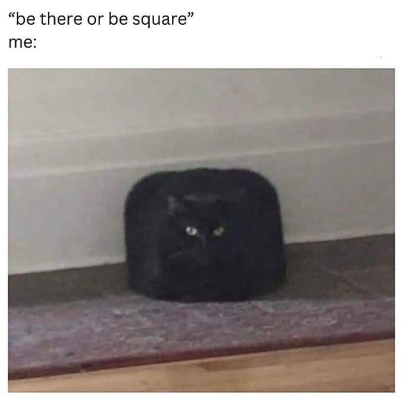 A black cat is sitting on a tiled floor, pressed against a wall, and has been squashed into a nearly perfect square shape…