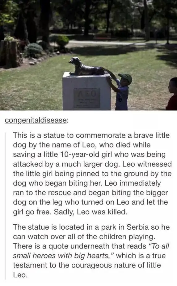 A young boy in a green cap stands beside a bronze statue of a dog named Leo, which commemorates the dog's heroic death while…