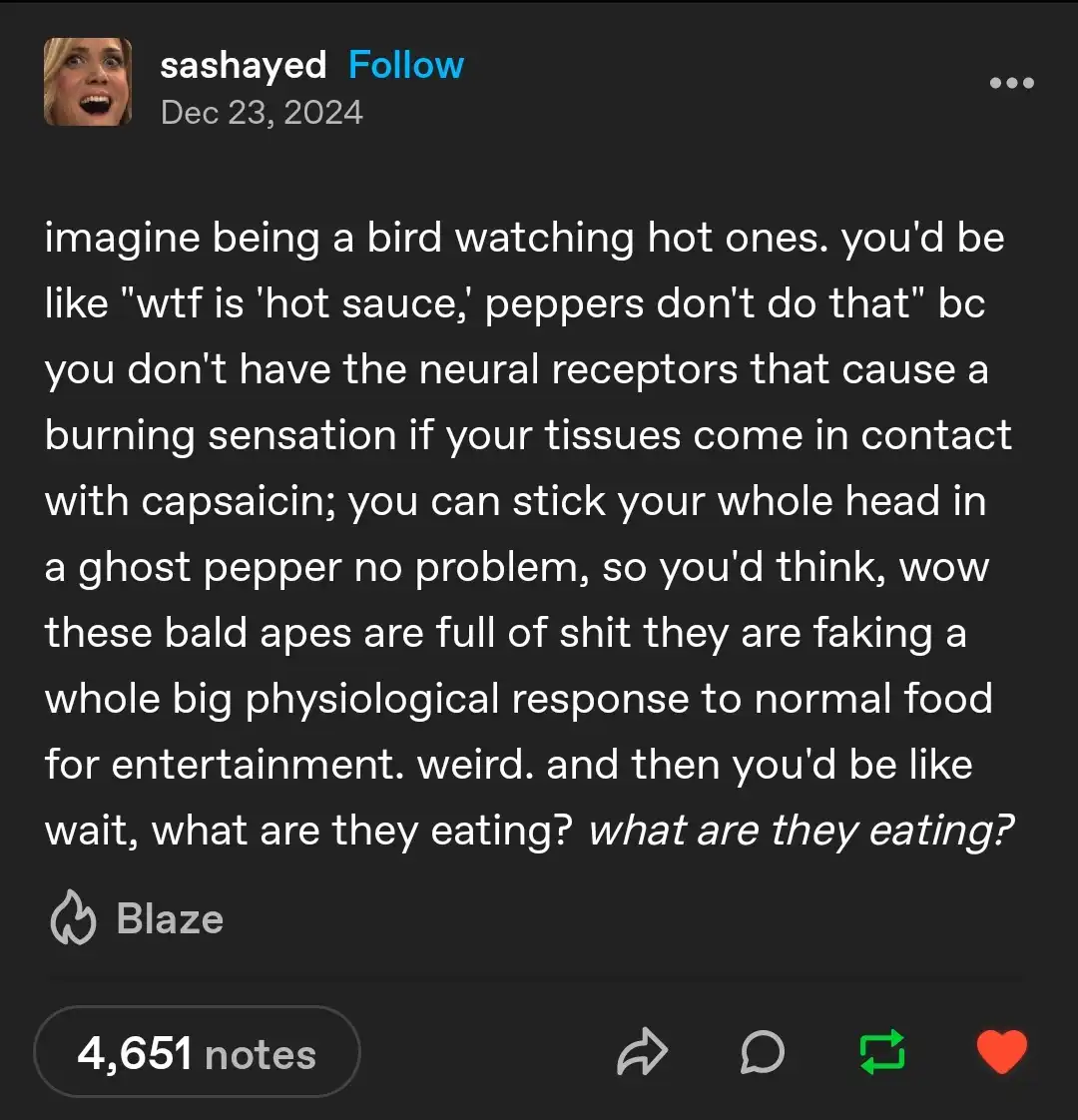 Picture this: a bird perched high, enjoying the chaos of Hot Ones