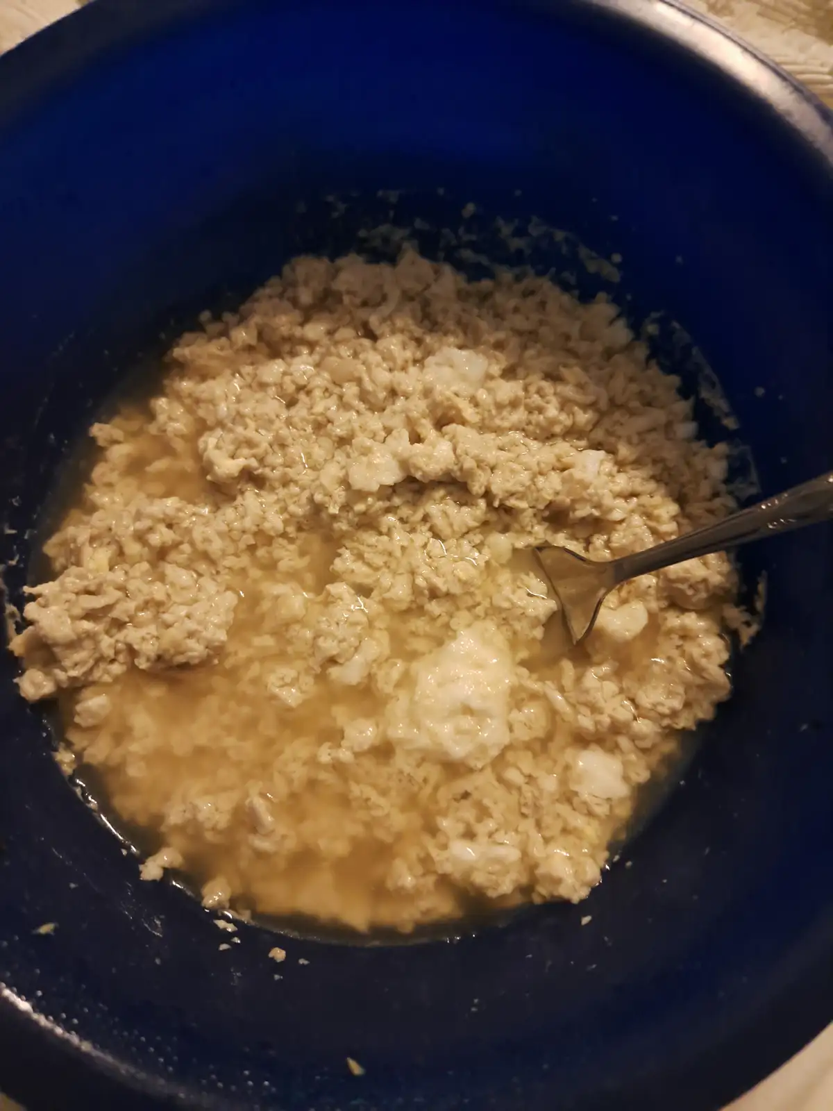 A close-up photo shows a blue bowl containing a lumpy, wet, beige mixture that looks like uncooked or poorly cooked oatmeal…