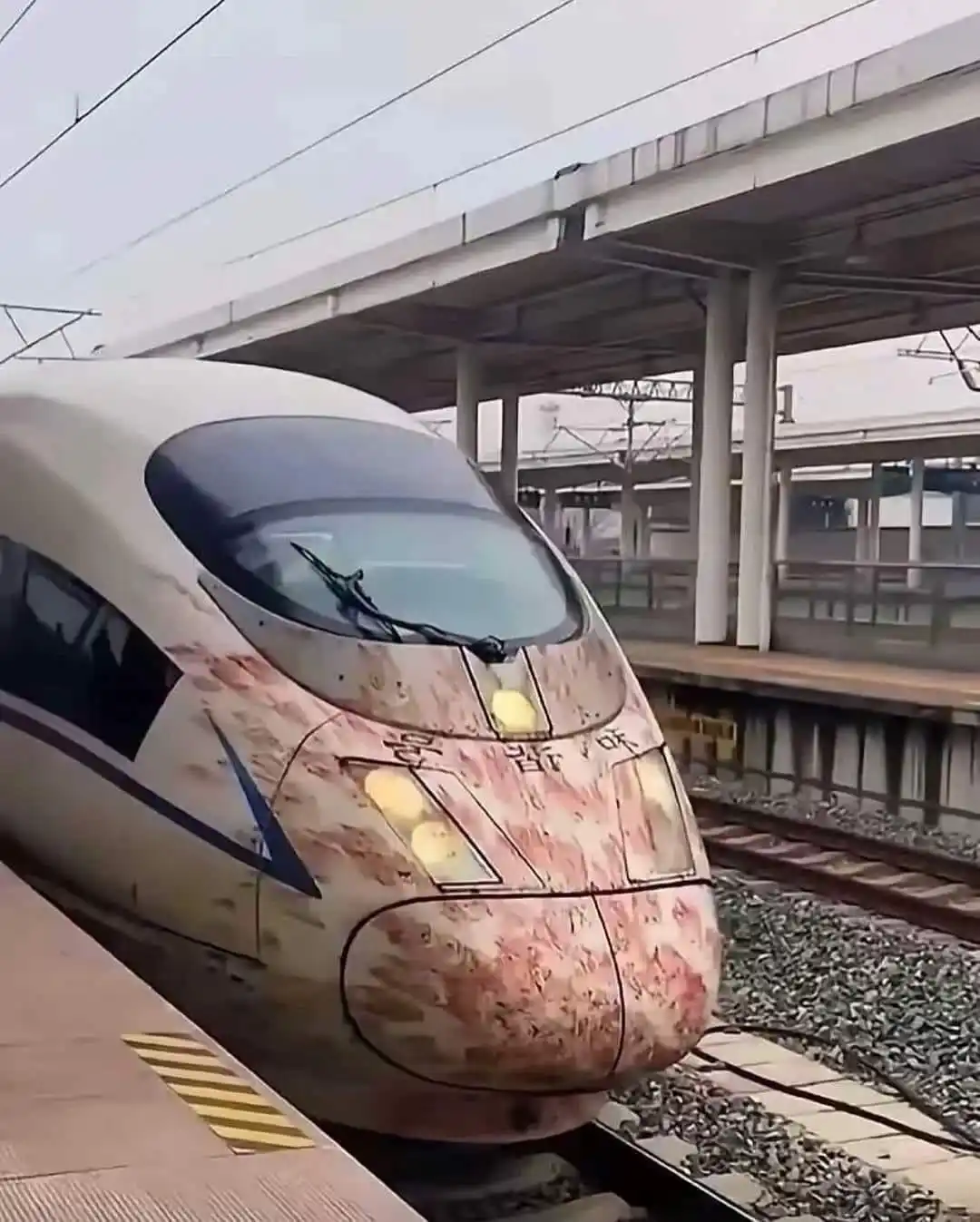 a high-speed train with its front covered in what appears to be raw meat, resembling a large cut of beef or pork, with…