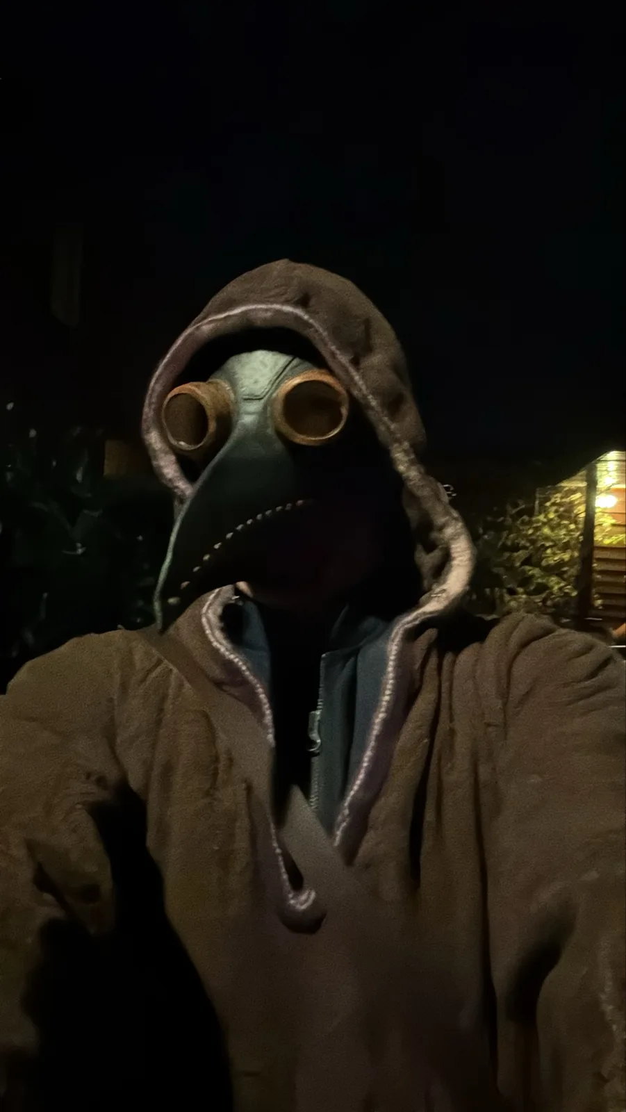 A person wearing a dark brown hooded jacket and a plague doctor mask with large eye holes and a beak-like nose, standing…