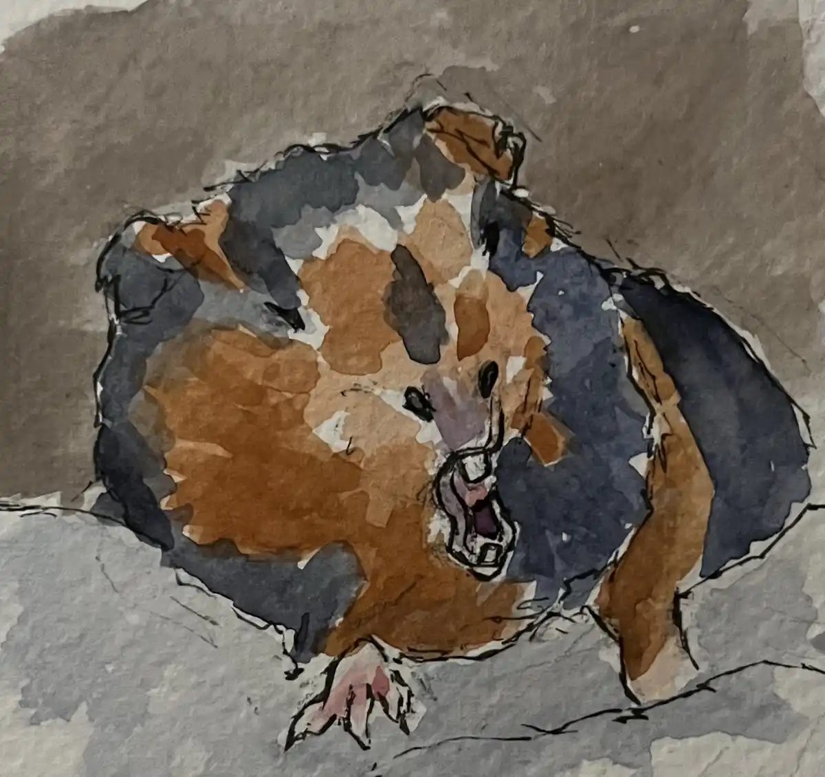 A watercolor painting of a small, round, brown-and-gray animal, likely a hamster, with its mouth wide open in an expression…