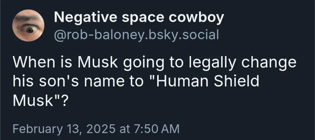 A screenshot of a social media post from 'Negative space cowboy' (@rob-baloney.bsky.social) dated February 13, 2025, asking…