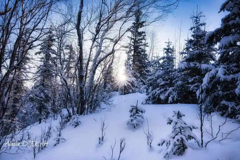 A serene winter forest scene with snow-covered trees and a bright sun shining through the branches, creating a starburst…
