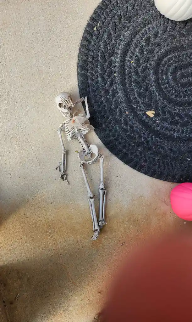 A small plastic skeleton decoration lies on a concrete surface next to a dark circular rug, with a white and a pink pumpkin…