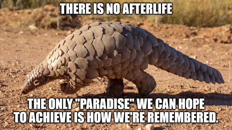 A pangolin walks across dry, dusty ground, its body covered in overlapping scales. White bold text overlaid at the top reads…