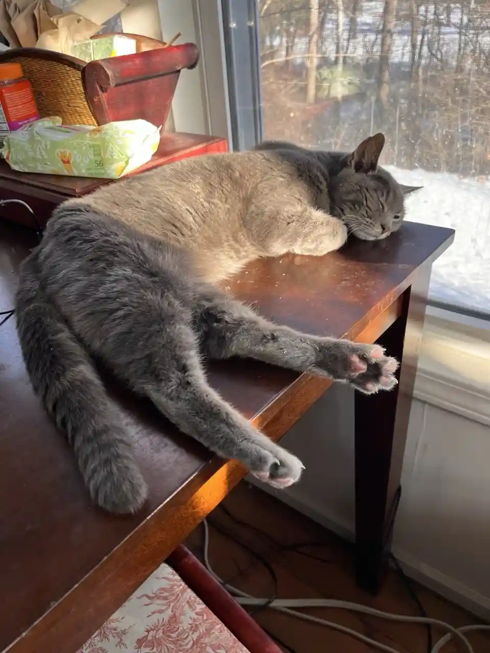 A gray cat is stretched out and sleeping on a wooden table near a sunny window, with one paw dangling off the edge. The…