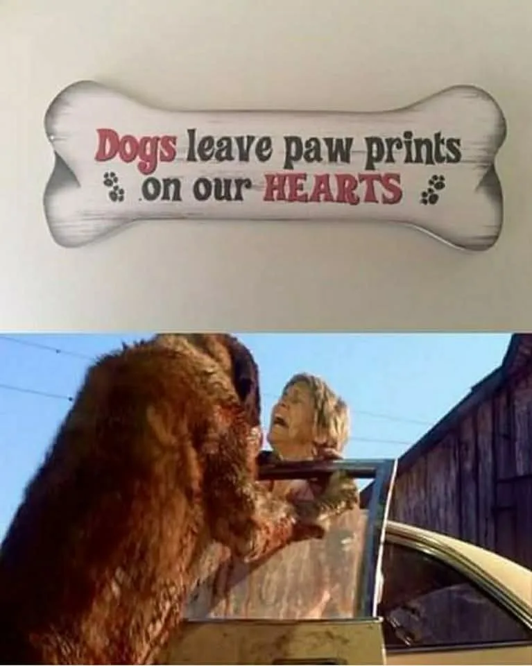 The image is split: top half shows a decorative bone-shaped sign with the text 'Dogs leave paw prints on our HEARTS' in red…