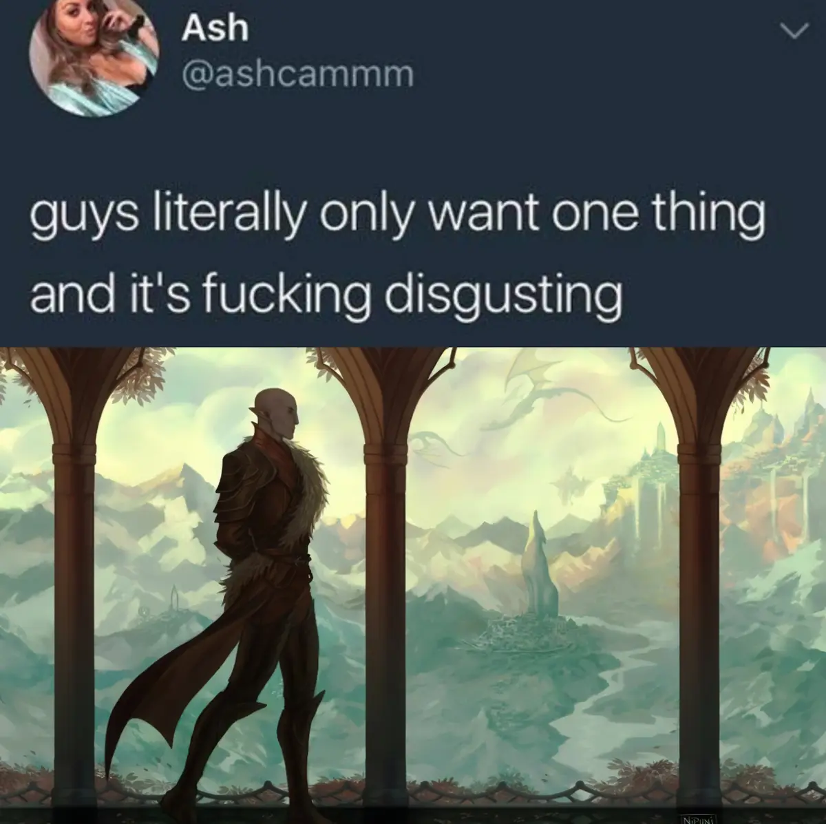 A screenshot of a tweet by Ash (@ashcammm) with the text 'guys literally only want one thing and it's fucking disgusting'…