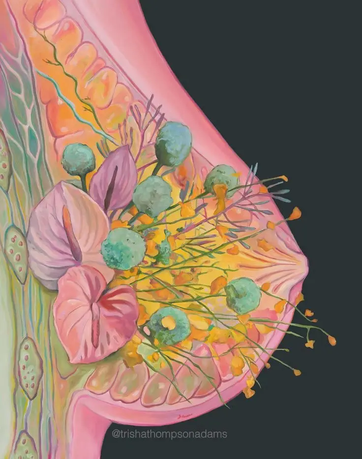 An artistic anatomical illustration shows a cross-section of a human breast, revealing internal structures like ducts and…