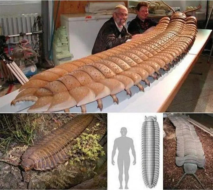 The image shows two men smiling beside a very long, segmented, arthropod-like model that appears to be a giant millipede or…