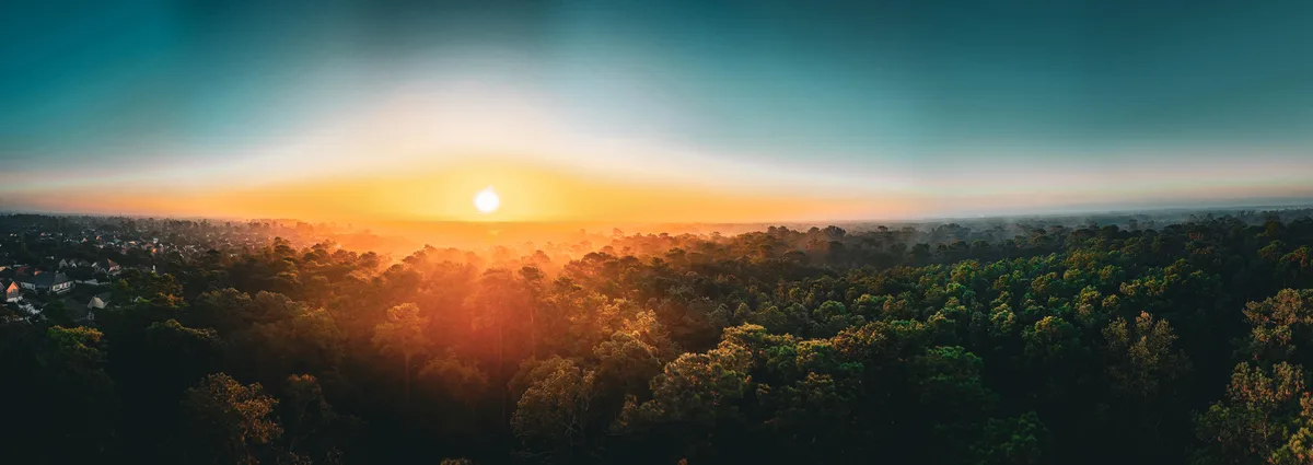 A panoramic aerial view of a sunrise over a dense forest with a residential neighborhood visible on the left, bathed in…