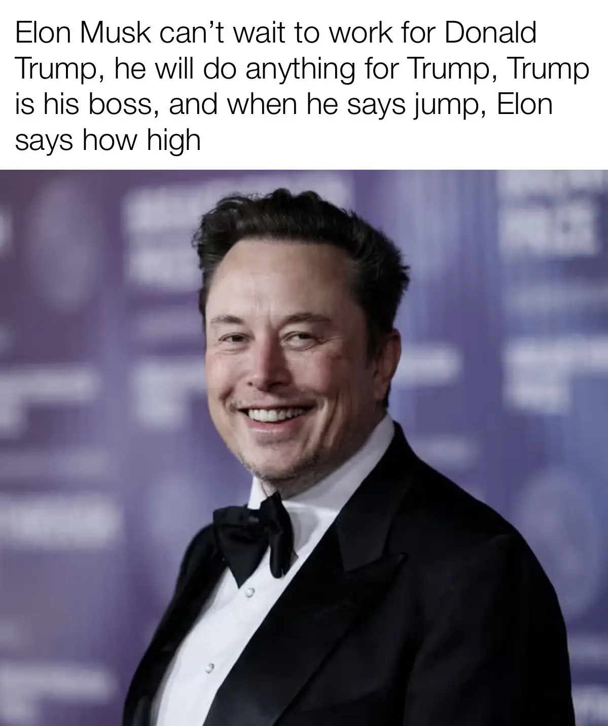 A photo of Elon Musk smiling in a black tuxedo with a bow tie, standing in front of a purple backdrop with blurred logos…