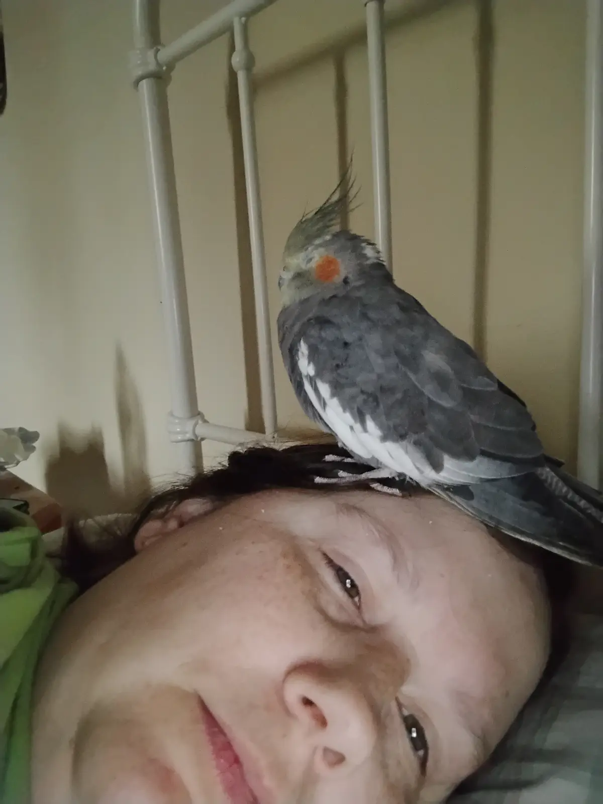 Meet Stimky Burb, the quirky character you didn't know you needed!
