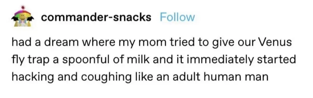 A screenshot of a social media post by 'commander-snacks' showing a text-based dream story. The post describes a dream where…