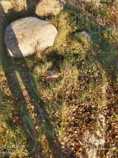 An outdoor photo shows several large, weathered boulders scattered across a grassy field covered in fallen autumn leaves…