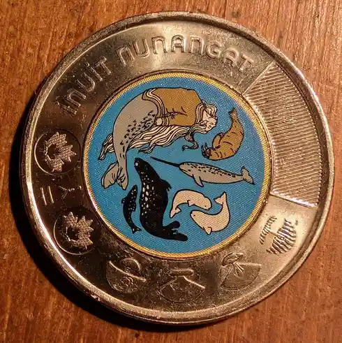 A close-up photo of a Canadian Inuit Nunangat commemorative coin resting on a wooden surface. The coin's central design…