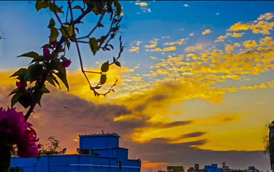 A vibrant sunset photo shows a blue building with birds perched on its rooftop, framed by pink flowers and green leaves in…