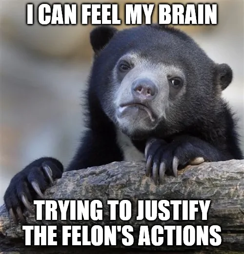 A black bear with a pensive, slightly confused expression rests its paws on a log. The text overlaid in bold white capital…