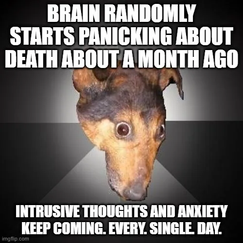 A close-up image of a dog's head with wide, startled eyes and a slightly open mouth, set against a dark gray gradient…