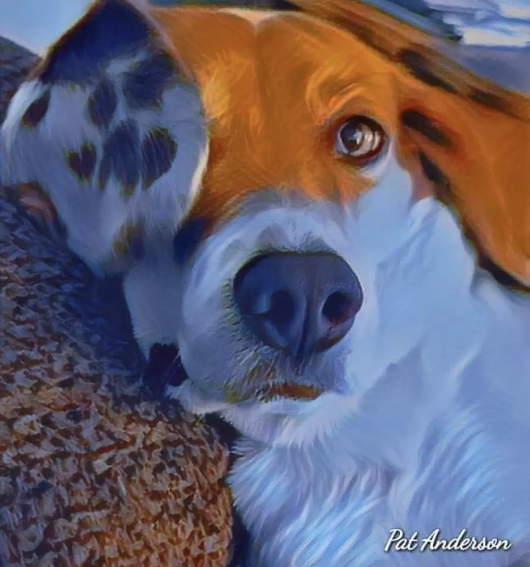 A close-up painting of a beagle-like dog with orange and white fur, resting its head on a textured brown surface. The dog…