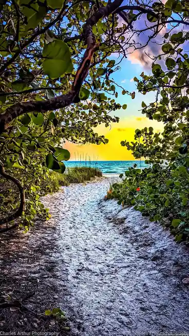 A vibrant, framed beach scene viewed through lush green foliage, showing a sandy path leading to turquoise water under a…