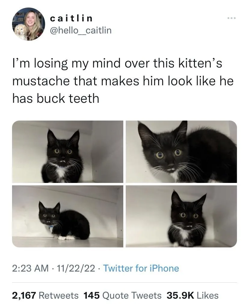 Your Sunday Funday Meme Collection