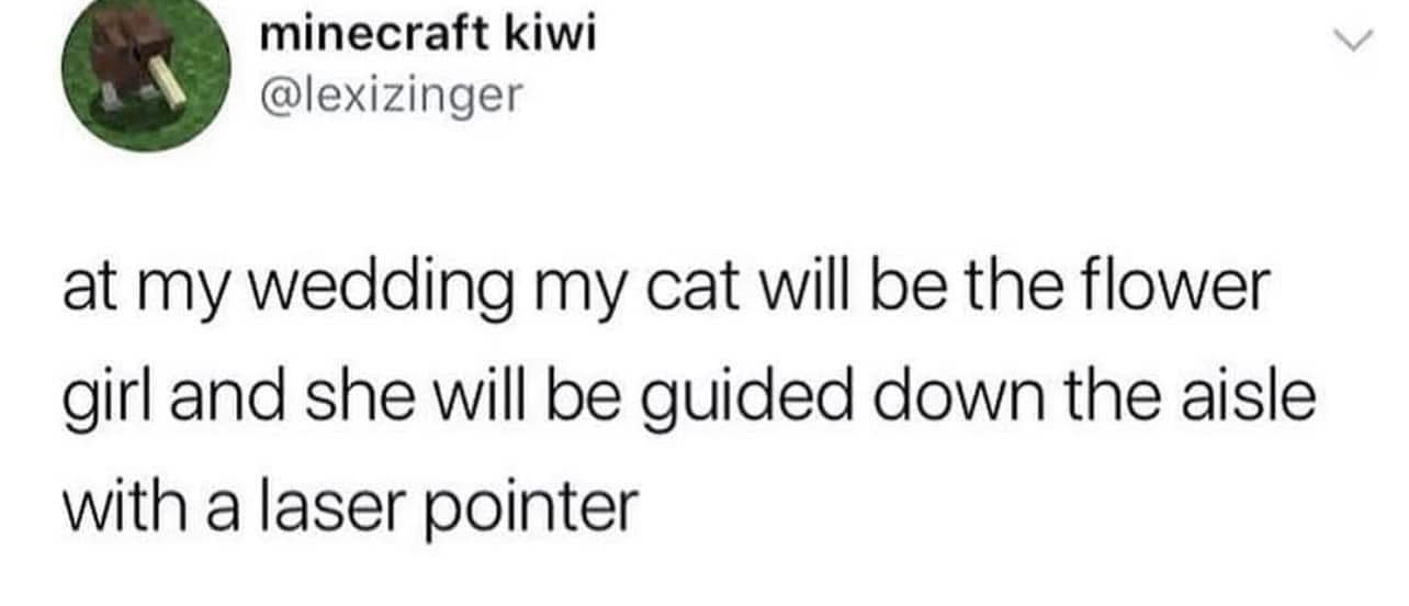A screenshot of a tweet from user 'minecraft kiwi' (@lexizinger) with a profile picture of a Minecraft cow. The tweet text…