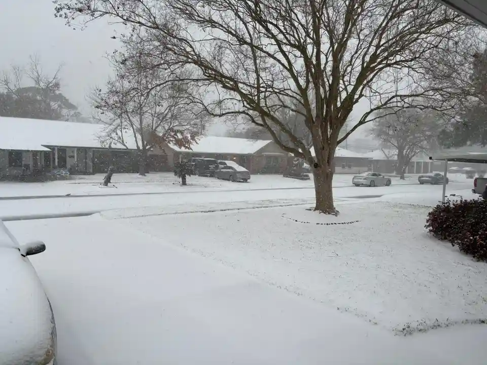 A snowy suburban street scene with houses, cars, and bare trees covered in snow, viewed from a window. The ground and…