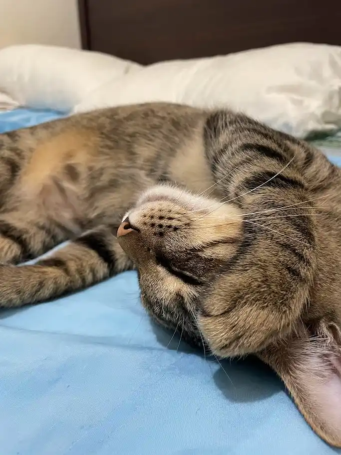 Just hanging out!