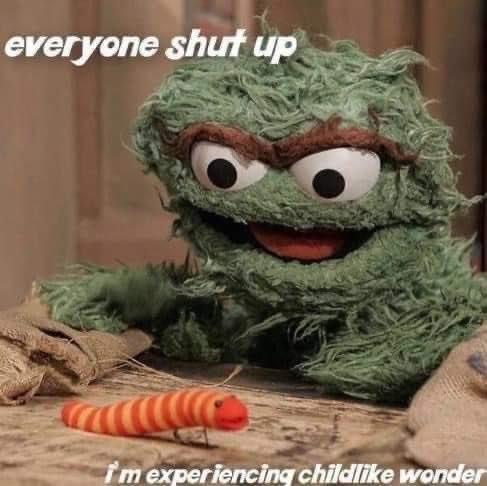 A green, furry puppet with wide eyes and a mischievous grin leans forward over a wooden surface, staring intensely at a…