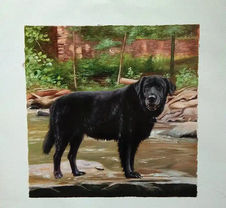A realistic painting of a black Labrador Retriever standing in shallow water on a rock, with green foliage and a brick wall…