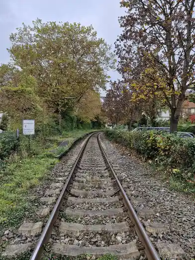 A photograph of a railway track curving into the distance, flanked by autumnal trees and overgrown vegetation under an…
