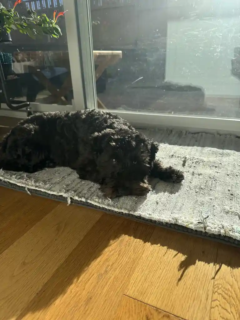 Your Daily Dose of Olive Inspiration
