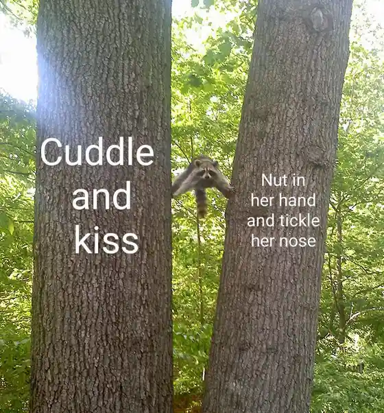 A raccoon peeks out from between two tree trunks in a forest, with white text overlaid on each tree. The left tree says…