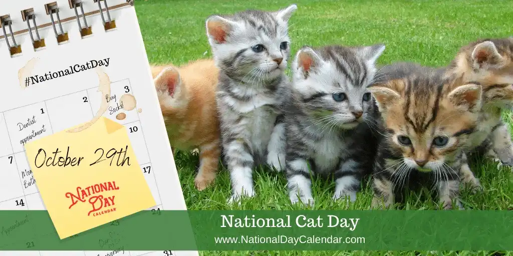 A spiral-bound calendar page showing October 29th marked as 'National Cat Day' with a yellow sticky note and handwritten…