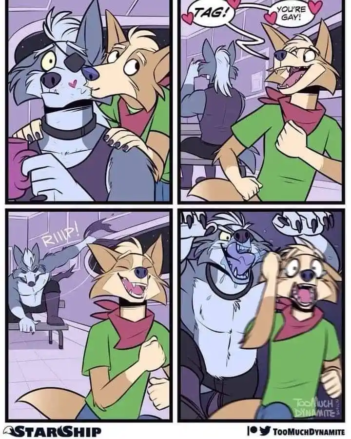 A four-panel comic strip featuring anthropomorphic wolf characters. In the first panel, a grey wolf with an eyepatch is…