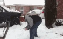 When the Acorns Rise and the Pinecones Step Up to Keep Order