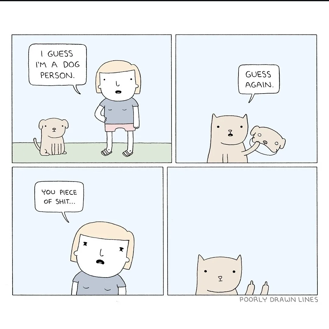 Proud Cat Person Here: Meow and Purrs All Day!
