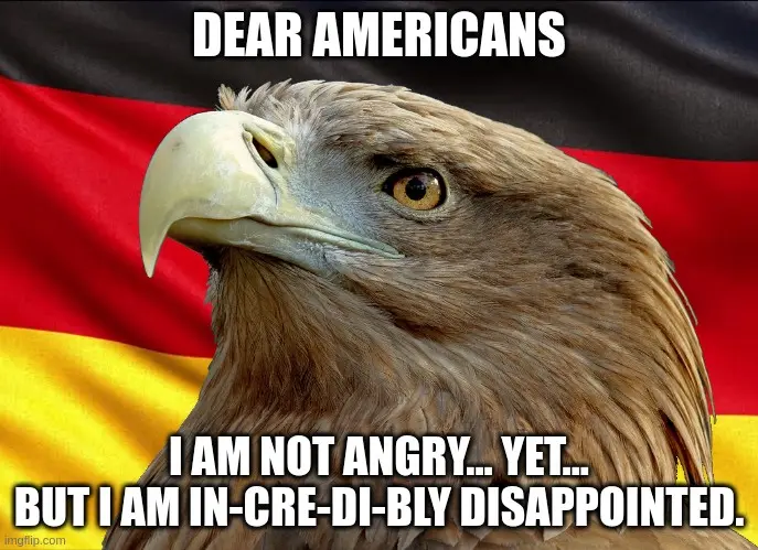 A close-up image of a stern-looking eagle with a serious expression, set against the background of the German flag. The text…