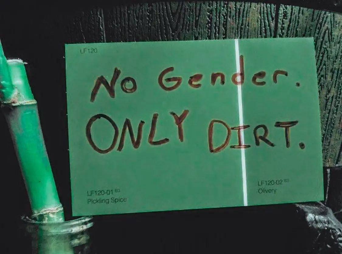 A green paper sign with handwritten text reading 'No Gender. ONLY DIRT.' is taped to a dark wooden surface. The sign has…