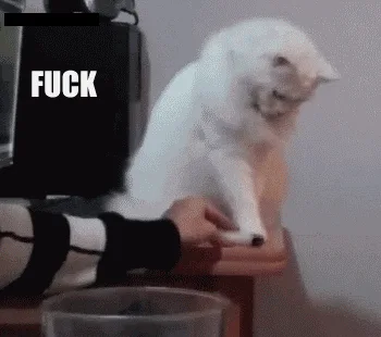 A white cat sits on a wooden desk in front of a computer, progressively reacting with increasing frustration as text…