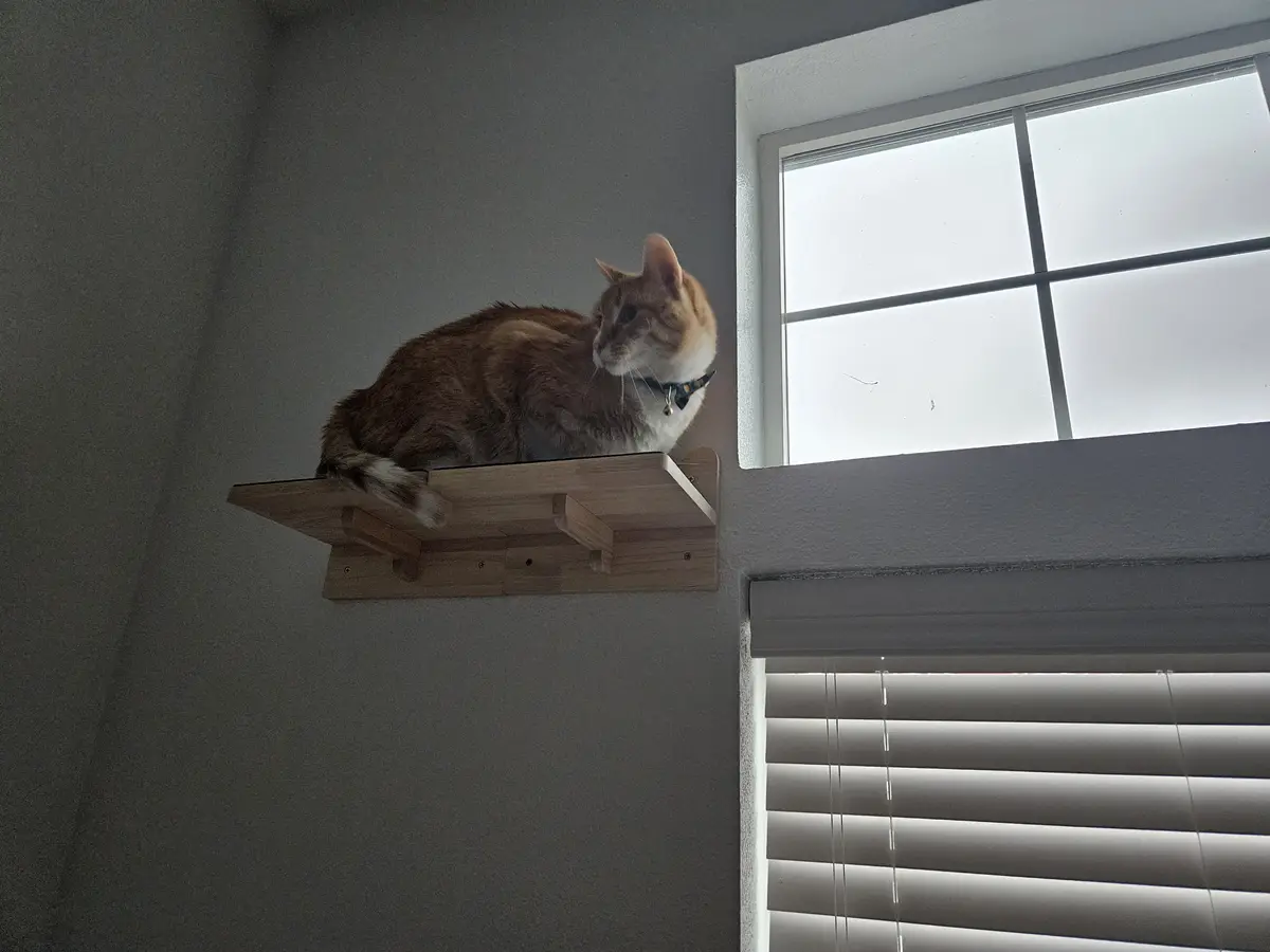Adventuring through his royal domain