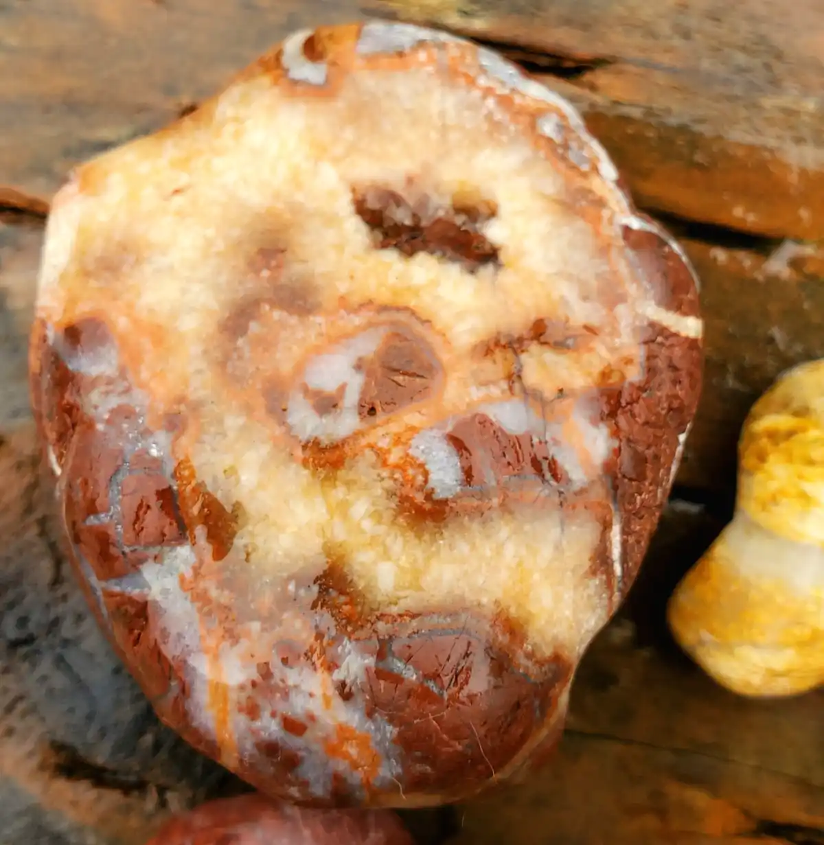 Beach Treasures: Letters and Numbers Discovered on the Shore