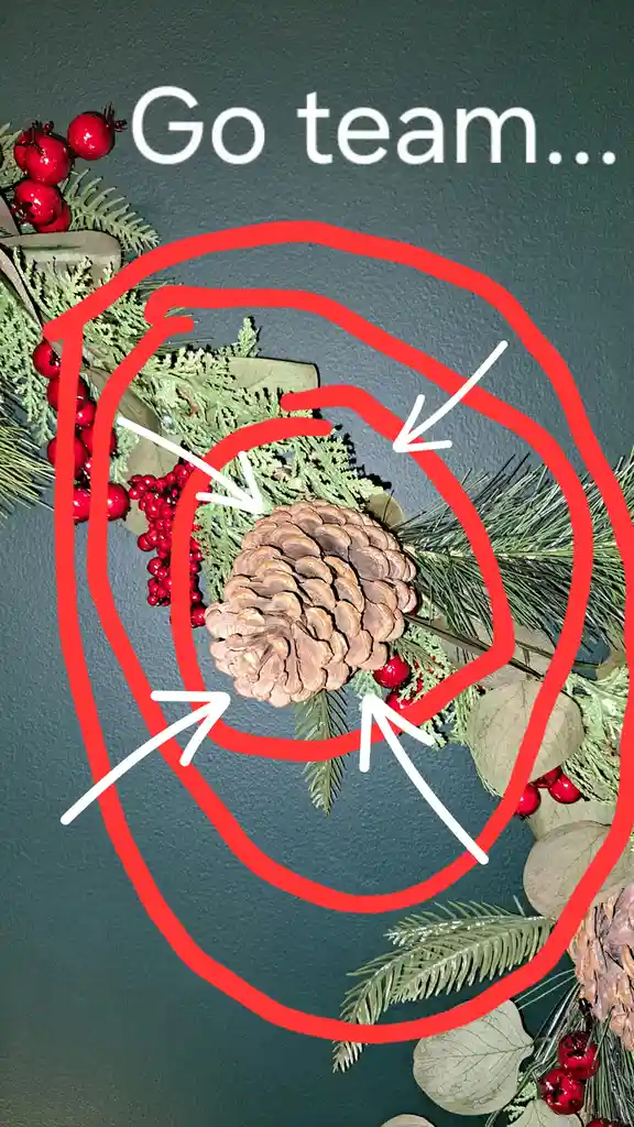 Red Circle Triumphs: A Victory for the Bold