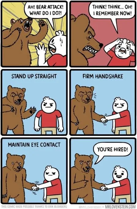 Introducing the Trump Bear: A Unique Holiday Companion!