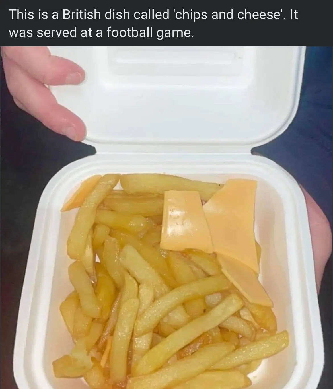 A white styrofoam container is held open by a person's hand, revealing a serving of golden-brown french fries topped with…