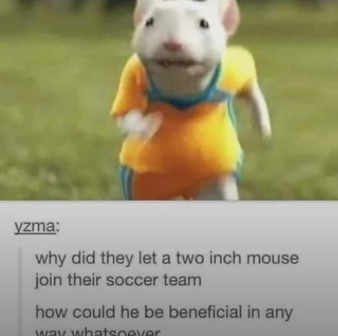 A small white mouse wearing a yellow and blue soccer jersey runs toward the camera on a grassy field. Below the image is a…