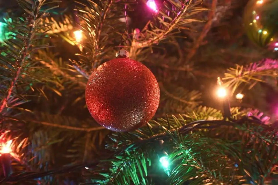 A close-up photo of a red glittery Christmas ornament hanging on a pine tree branch, surrounded by colorful string lights…